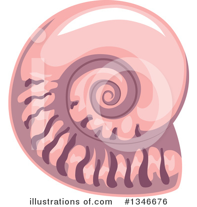 Seashell Clipart #1346676 by BNP Design Studio