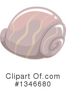 Seashell Clipart #1346680 by BNP Design Studio