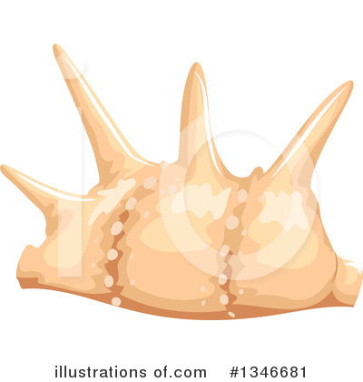 Seashells Clipart #1346681 by BNP Design Studio