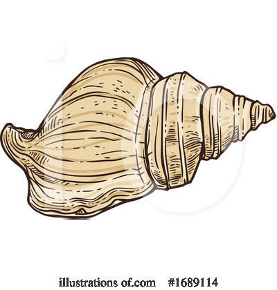 Seashell Clipart #1689114 by Vector Tradition SM