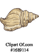 Seashell Clipart #1689114 by Vector Tradition SM