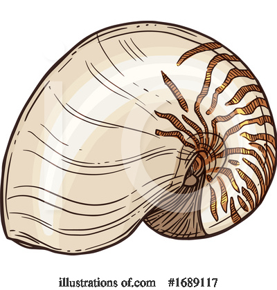 Shells Clipart #1689117 by Vector Tradition SM