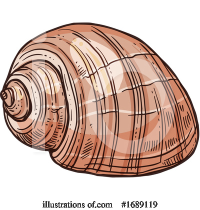 Shells Clipart #1689119 by Vector Tradition SM