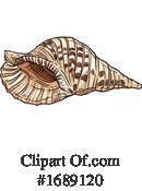 Seashell Clipart #1689120 by Vector Tradition SM