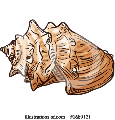 Sea Shells Clipart #1689121 by Vector Tradition SM