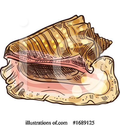 Shells Clipart #1689125 by Vector Tradition SM