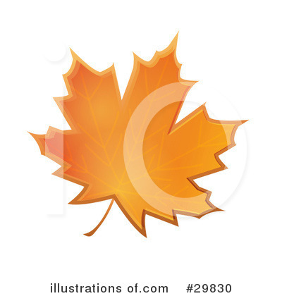 Maple Leaf Clipart #29830 by Melisende Vector
