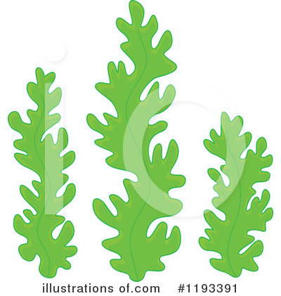 Royalty-Free (RF) Seaweed Clipart Illustration by Alex Bannykh - Stock Sample #1193391