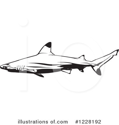 Shark Clipart #1228192 by dero