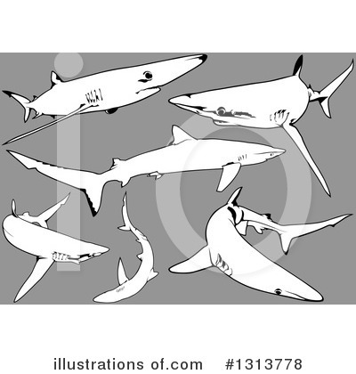 Royalty-Free (RF) Shark Clipart Illustration by dero - Stock Sample #1313778