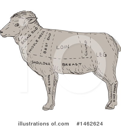 Lamb Clipart #1462624 by patrimonio