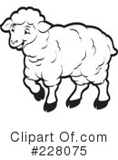 Sheep Clipart #228075 by Lal Perera