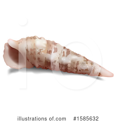 Royalty-Free (RF) Shell Clipart Illustration by dero - Stock Sample #1585632