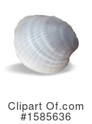 Shell Clipart #1585636 by dero