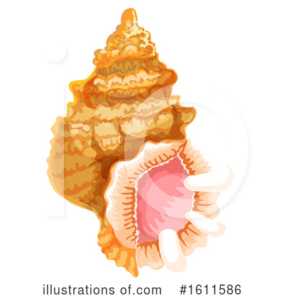 Royalty-Free (RF) Shell Clipart Illustration by Vector Tradition SM - Stock Sample #1611586