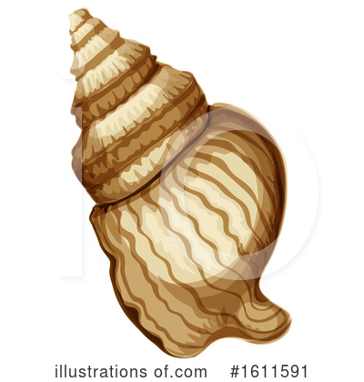 Royalty-Free (RF) Shell Clipart Illustration by Vector Tradition SM - Stock Sample #1611591