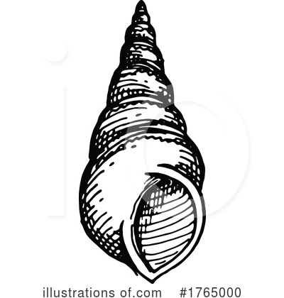 Seashell Clipart #1765000 by Vector Tradition SM