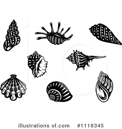 Royalty-Free (RF) Shells Clipart Illustration by Vector Tradition SM - Stock Sample #1116345