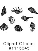 Shells Clipart #1116345 by Vector Tradition SM