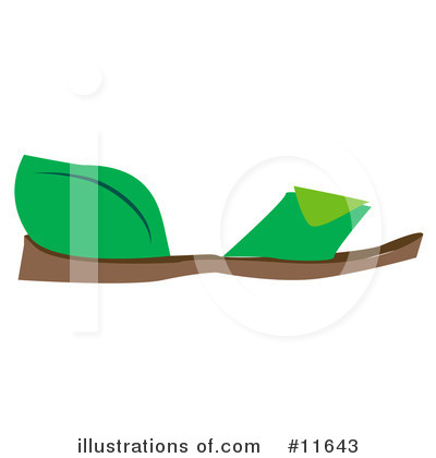 Shoes Clipart #11643 by AtStockIllustration