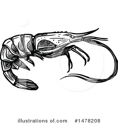 Royalty-Free (RF) Shrimp Clipart Illustration by Vector Tradition SM - Stock Sample #1478208