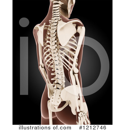 Royalty-Free (RF) Skeleton Clipart Illustration by KJ Pargeter - Stock Sample #1212746