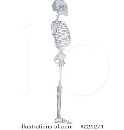 Royalty-Free (RF) Skeleton Clipart Illustration by patrimonio - Stock Sample #229271