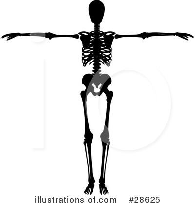 Royalty-Free (RF) Skeleton Clipart Illustration by KJ Pargeter - Stock Sample #28625