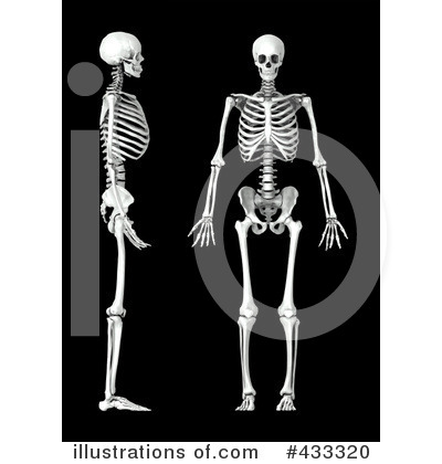 Royalty-Free (RF) Skeleton Clipart Illustration by Mopic - Stock Sample #433320