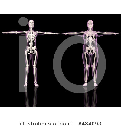 Royalty-Free (RF) Skeleton Clipart Illustration by KJ Pargeter - Stock Sample #434093