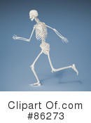 Skeleton Clipart #86273 by Mopic