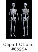 Skeleton Clipart #86294 by Mopic