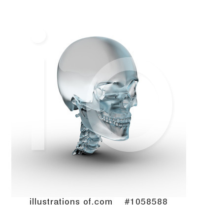 Head Clipart #1058588 by Michael Schmeling