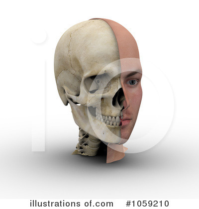 Royalty-Free (RF) Skull Clipart Illustration by Michael Schmeling - Stock Sample #1059210