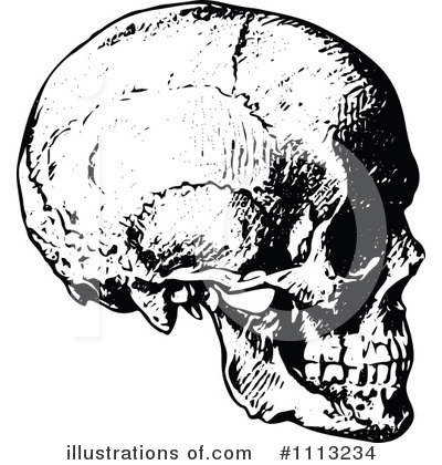 Royalty-Free (RF) Skull Clipart Illustration by Prawny Vintage - Stock Sample #1113234