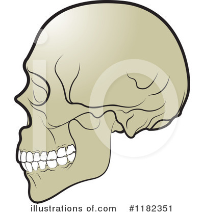 Skull Clipart #1182351 by Lal Perera
