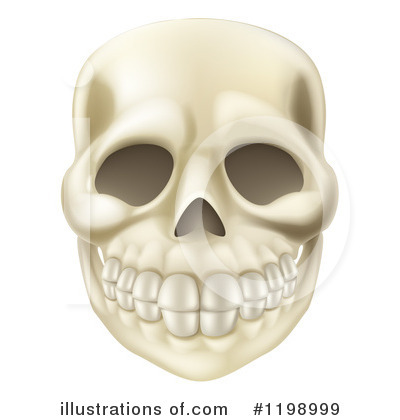Human Skull Clipart #1198999 by AtStockIllustration
