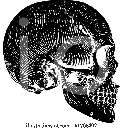 Royalty-Free (RF) Skull Clipart Illustration by AtStockIllustration - Stock Sample #1706492