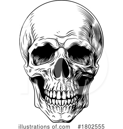 Royalty-Free (RF) Skull Clipart Illustration by AtStockIllustration - Stock Sample #1802555