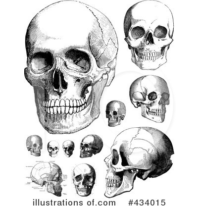 Royalty-Free (RF) Skull Clipart Illustration by BestVector - Stock Sample #434015