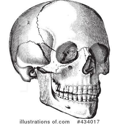 Royalty-Free (RF) Skull Clipart Illustration by BestVector - Stock Sample #434017