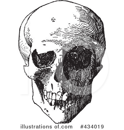 Royalty-Free (RF) Skull Clipart Illustration by BestVector - Stock Sample #434019