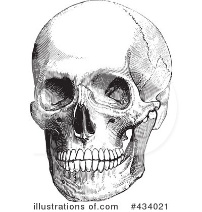 Royalty-Free (RF) Skull Clipart Illustration by BestVector - Stock Sample #434021