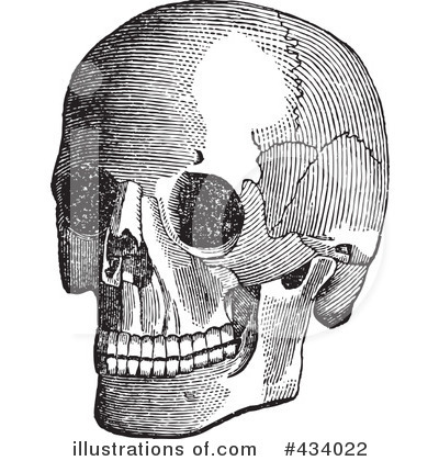 Royalty-Free (RF) Skull Clipart Illustration by BestVector - Stock Sample #434022