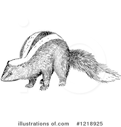 Royalty-Free (RF) Skunk Clipart Illustration by Picsburg - Stock Sample #1218925