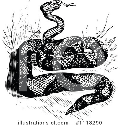 Royalty-Free (RF) Snake Clipart Illustration by Prawny Vintage - Stock Sample #1113290