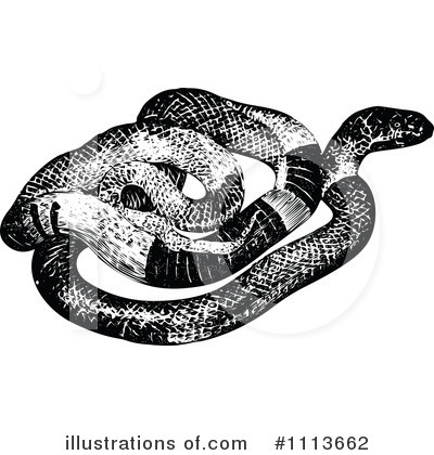 Royalty-Free (RF) Snake Clipart Illustration by Prawny Vintage - Stock Sample #1113662