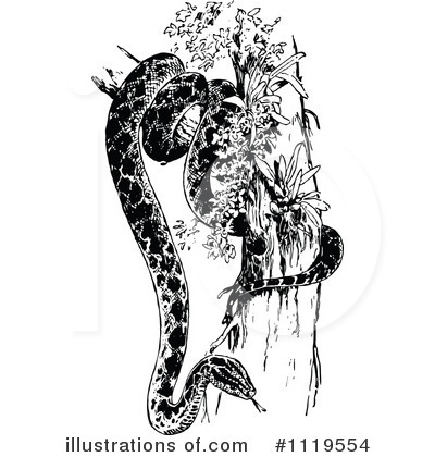 Royalty-Free (RF) Snake Clipart Illustration by Prawny Vintage - Stock Sample #1119554