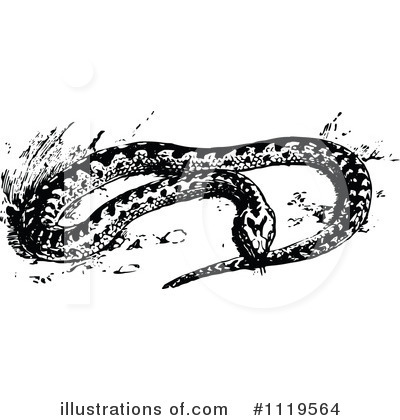 Royalty-Free (RF) Snake Clipart Illustration by Prawny Vintage - Stock Sample #1119564