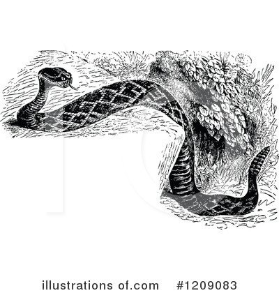 Royalty-Free (RF) Snake Clipart Illustration by Prawny Vintage - Stock Sample #1209083